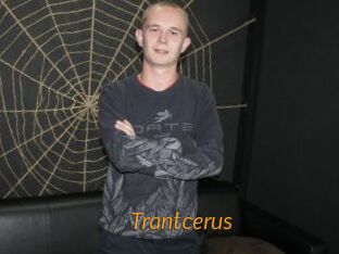 Trantcerus