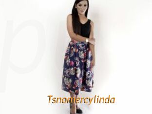 Tsnomercylinda