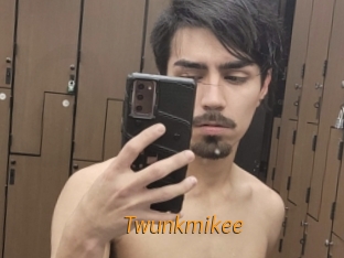 Twunkmikee