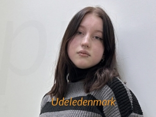 Udeledenmark