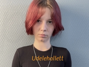 Udelehallett