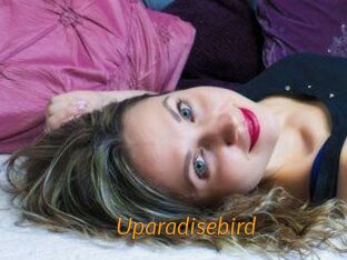 Uparadisebird