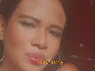 Uvahorny