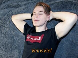 VeinsViet