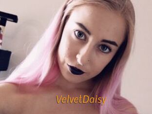 VelvetDaisy