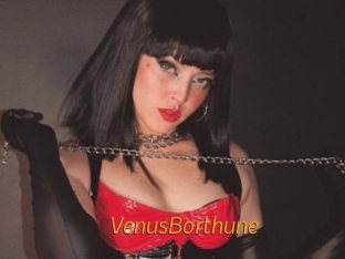 VenusBorthune
