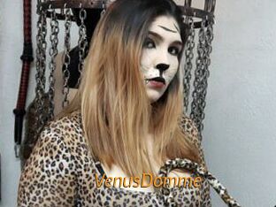 VenusDomme