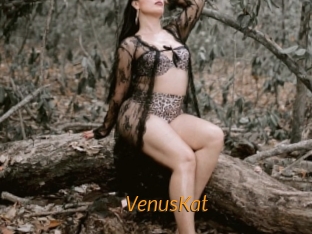 VenusKat