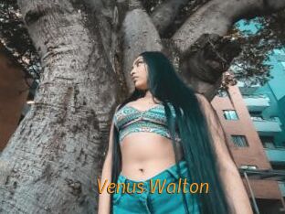 Venus_Walton