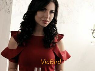 VioBird