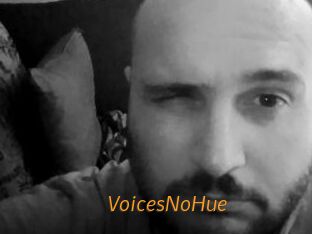 VoicesNoHue