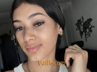 valllecum Porn University