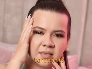 Vanebrooks