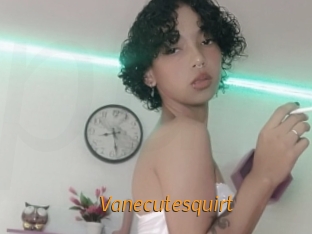 Vanecutesquirt