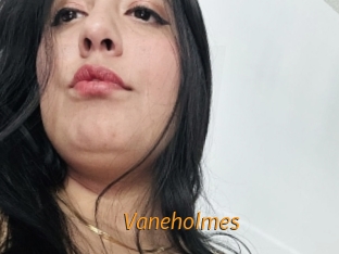 Vaneholmes