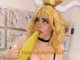 Vanelopebonsweet
