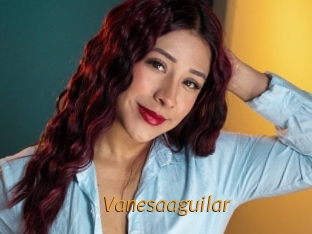 Vanesaaguilar