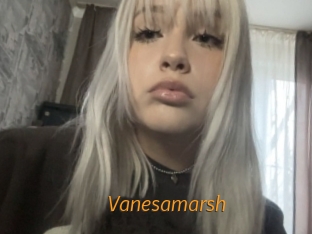 Vanesamarsh