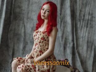 Vanessaamix