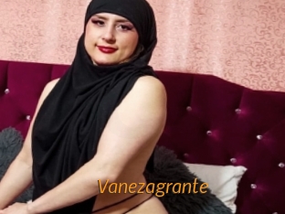 Vanezagrante