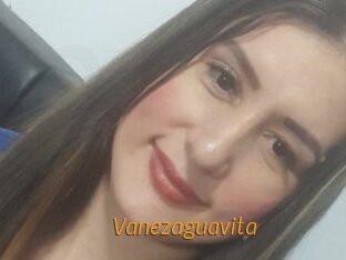 Vanezaguavita
