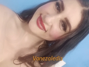 vanezaledis Porn University