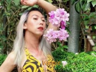 Vannie