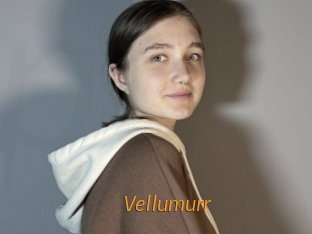 vellumurr Porn University