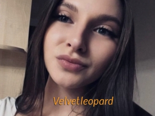 Velvetleopard