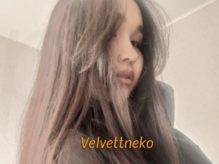 Velvettneko