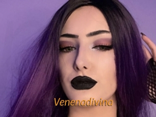 Venenadivina