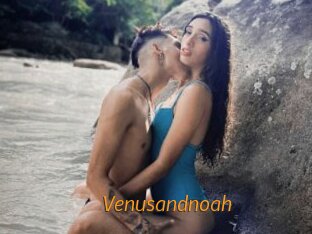 Venusandnoah