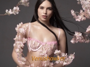 Venushawker