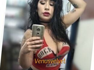 Venusvelvet