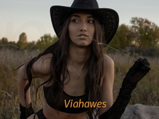 Viahawes
