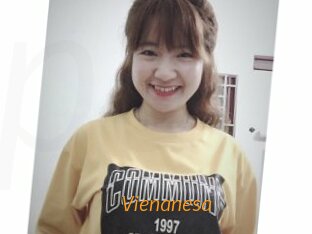 Vienanesa