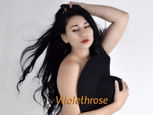 Viiolethrose
