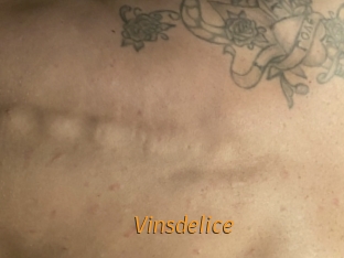 Vinsdelice
