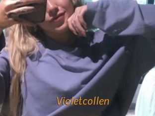Violetcollen