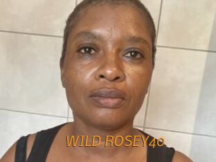 WILD_ROSEY40