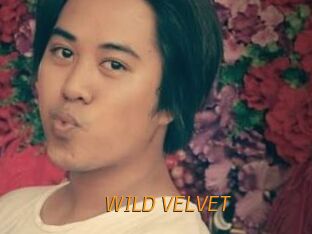 WILD_VELVET