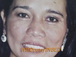 WILDpussyINBED