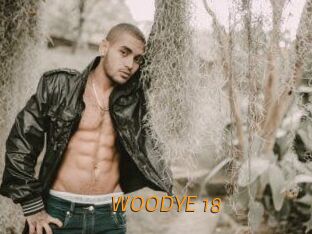 WOODYE_18