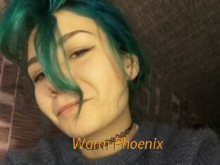 Warm_Phoenix