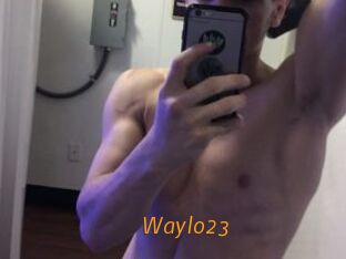 Waylo23