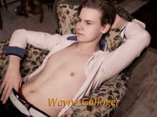 Wayne_Gallager