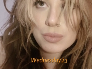 Wednesday23 Porn University