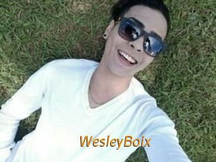 Wesley_Boix