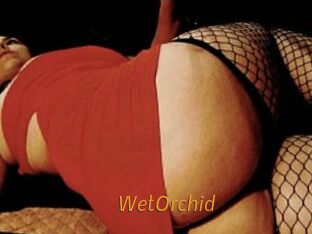 WetOrchid
