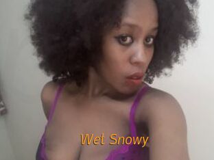 Wet_Snowy